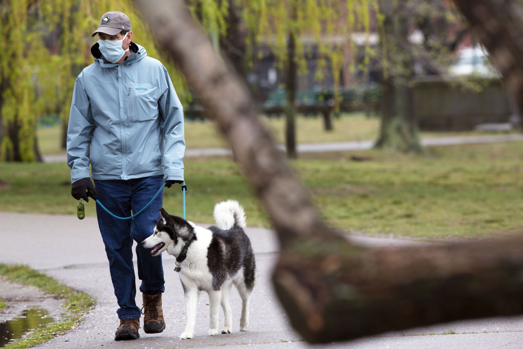 Dog walk